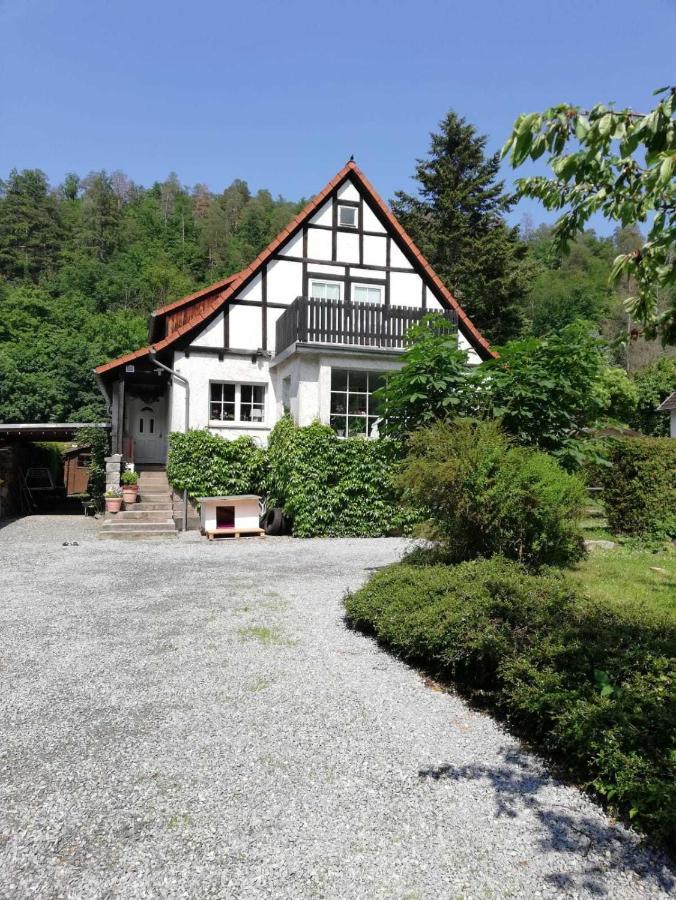 Ferienwohnung Natur Pur Muehlental Wernigerode Dış mekan fotoğraf