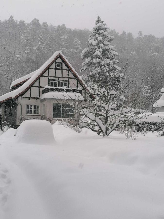 Ferienwohnung Natur Pur Muehlental Wernigerode Dış mekan fotoğraf