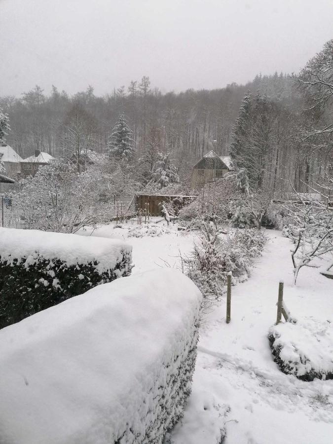 Ferienwohnung Natur Pur Muehlental Wernigerode Dış mekan fotoğraf
