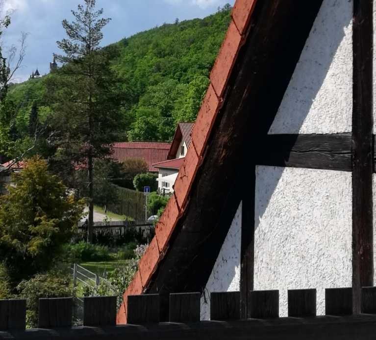 Ferienwohnung Natur Pur Muehlental Wernigerode Dış mekan fotoğraf