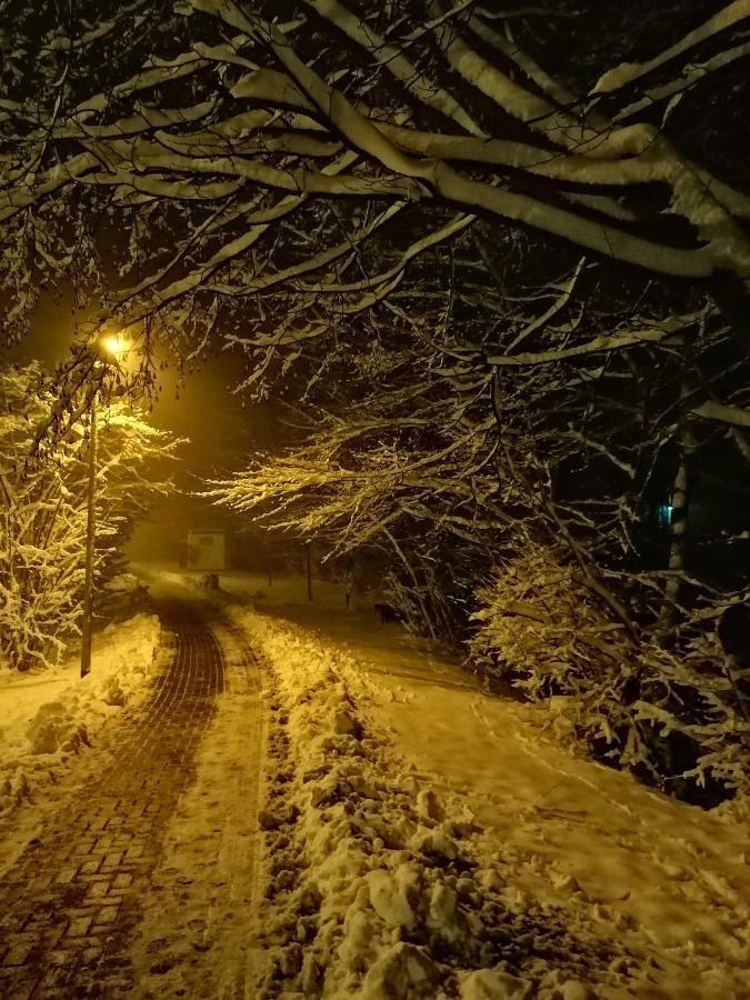 Ferienwohnung Natur Pur Muehlental Wernigerode Dış mekan fotoğraf