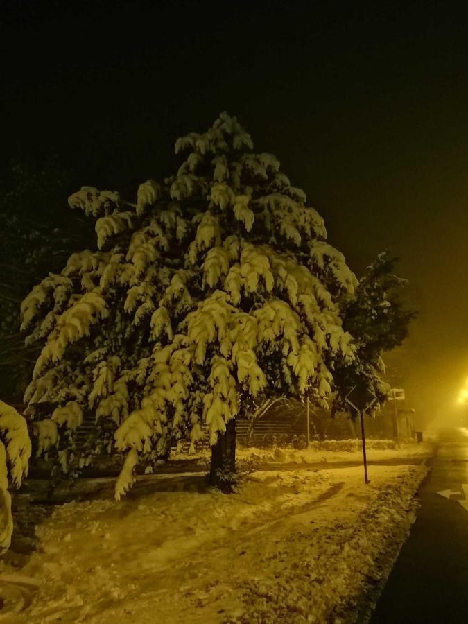 Ferienwohnung Natur Pur Muehlental Wernigerode Dış mekan fotoğraf